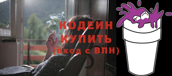 индика Нефтегорск