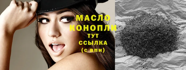 индика Нефтегорск