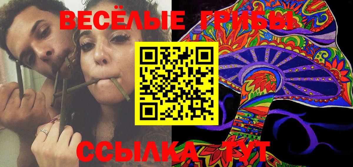 Псилоцибиновые грибы GOLDEN TEACHER  Вход с VPN  купить  цена  Кисловодск 