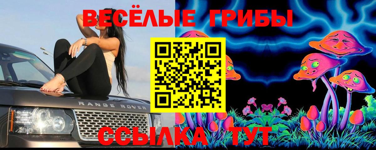 Галлюциногенные грибы MAGIC MUSHROOMS Кисловодск